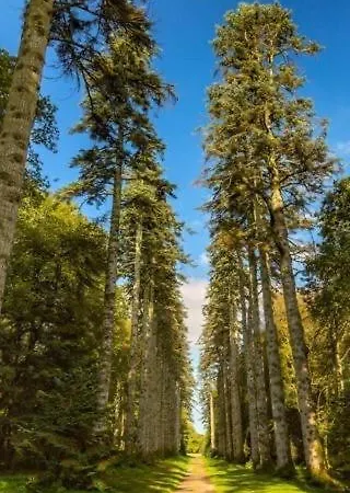 アパート Woodstock Courtyard Inistioge