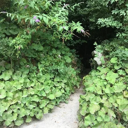 شقة Woodstock Courtyard *