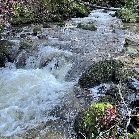 Woodstock Courtyard *