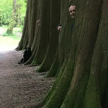 Woodstock Courtyard Apartament