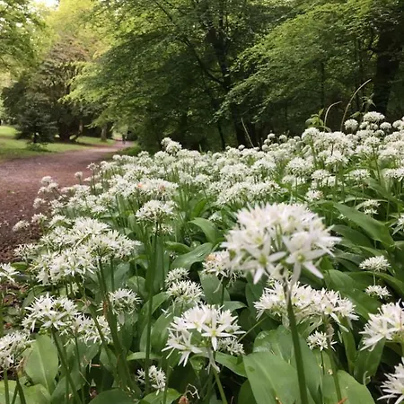 شقة Woodstock Courtyard Inistioge