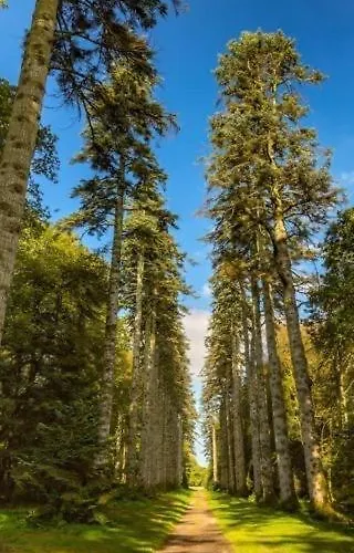Apartmán Woodstock Courtyard Inistioge