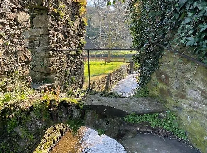 Apartmán Woodstock Courtyard *