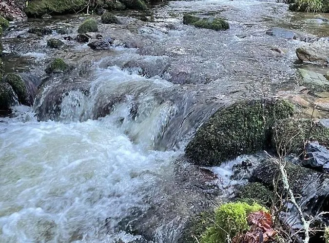 Woodstock Courtyard *