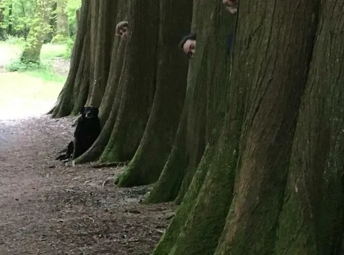 Woodstock Courtyard Apartmán